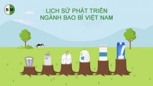 lich-su-phat-trien-nganh-bao-bi-viet-nam