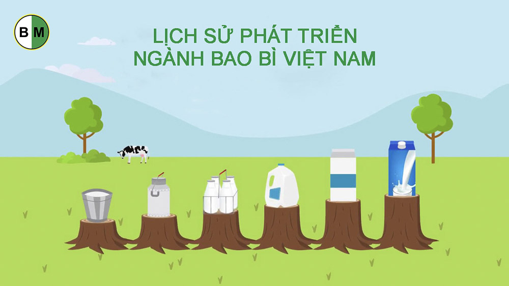 lich-su-phat-trien-nganh-bao-bi-viet-nam