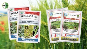 cac-mau-bao-bi-thuoc-bao-ve-thuc-vat-nong-duoc