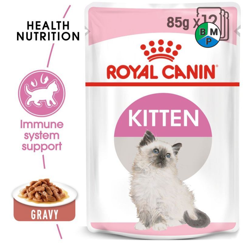 bao bì đựng thức ăn chó mèo