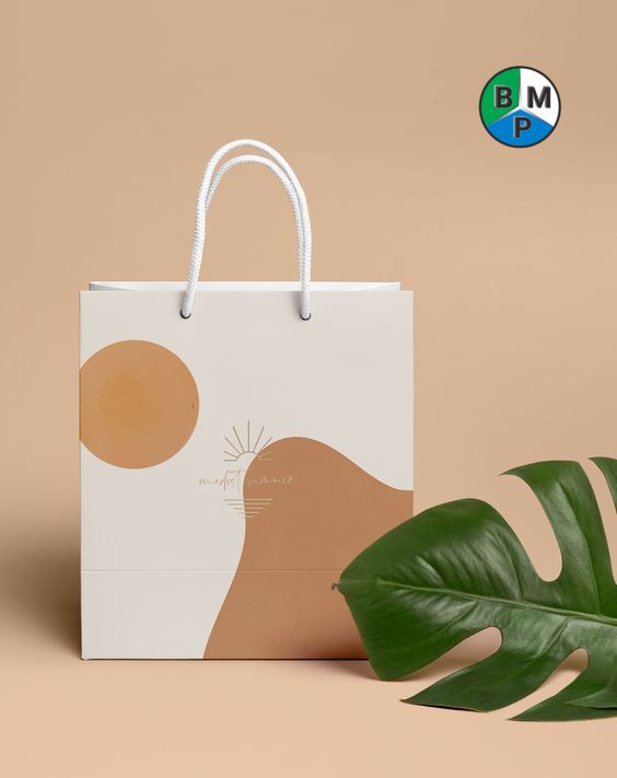 Túi giấy  mua sắm 