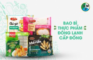 bao bì thực phẩm đông lạnh cấp đông