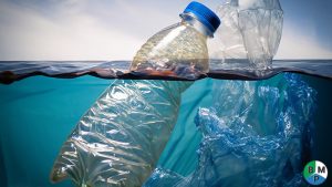 bien phap han che bao bi ni long 1