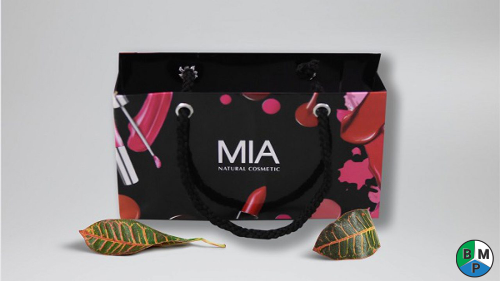 tui giay dung my pham 1