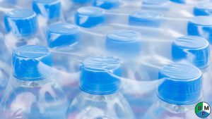 su khac biet giua mang co va mang cang 1