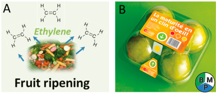 bao bi cam bien do tuoi 2