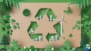 dinh muc tai che bao bi 1