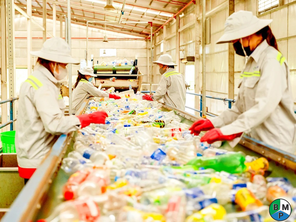 dinh muc tai che bao bi 2