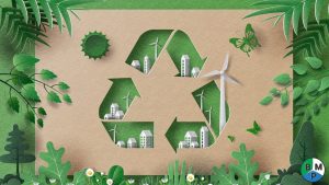 bao bi nao can phai tai che theo ty le 1